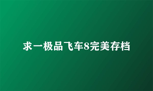 求一极品飞车8完美存档