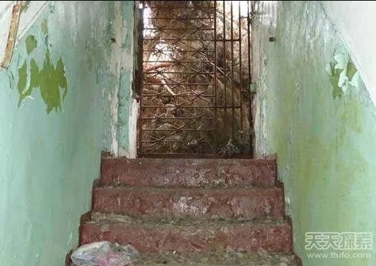 男子森林发现神秘工厂:里面东西令人震惊（图）