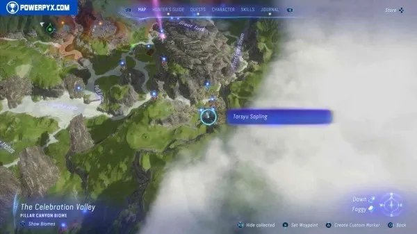 《阿凡达潘多拉边境》塔休幼苗位置汇总 塔休幼苗收集攻略