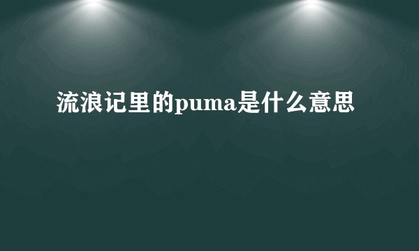 流浪记里的puma是什么意思