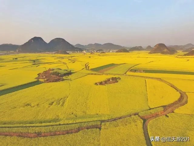 过年去云南旅游，合适吗？