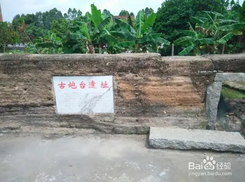 珠海淇澳岛好玩吗