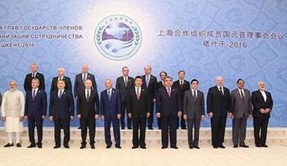 上合峰会在青岛的哪个位置举办