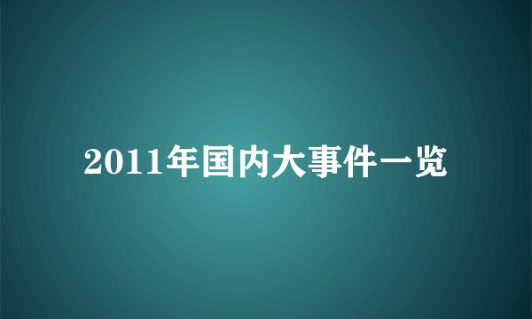 2011年国内大事件一览