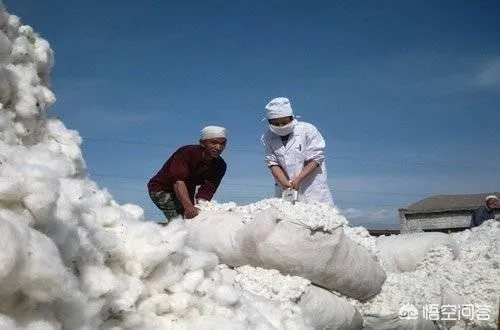 今年棉花价格走势会持续下跌吗？有没有对策？