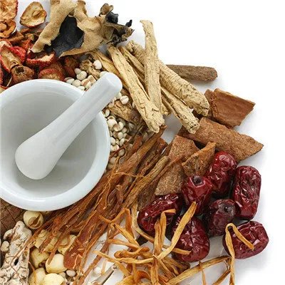 毛冬青叶的功效与作用及禁忌？