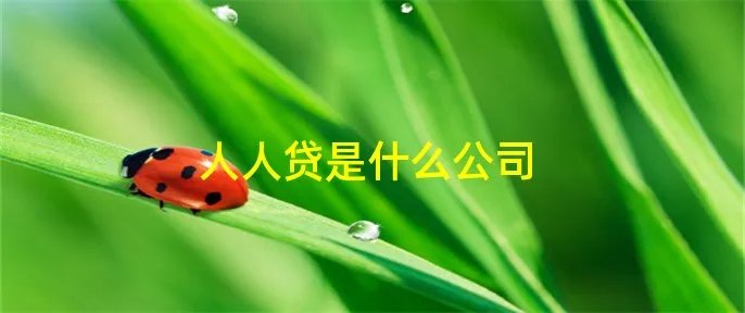 人人贷是什么公司