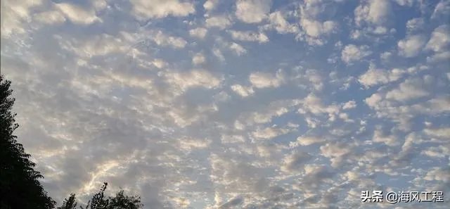 保险咨询公司靠谱吗