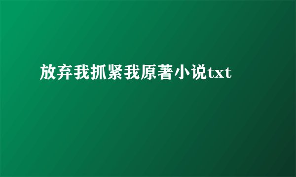 放弃我抓紧我原著小说txt