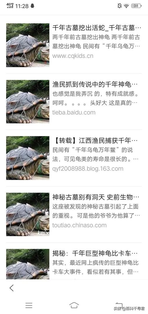 1965年黄河巨鳖事件是不是真实的？有何依据？