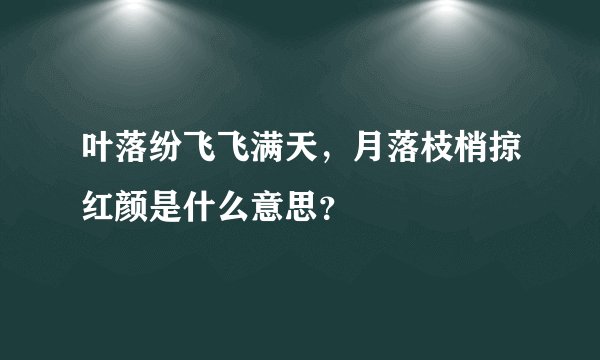 叶落纷飞飞满天，月落枝梢掠红颜是什么意思？