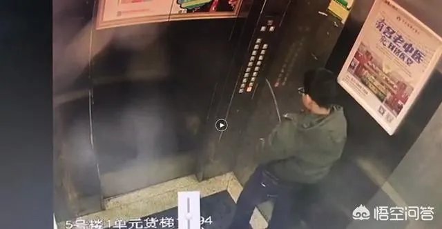 对于熊孩子冲电梯按键撒尿,致故障被困,你怎么看?