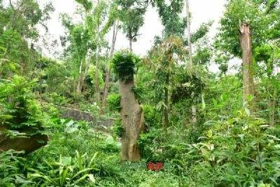 武义有哪些旅游景点