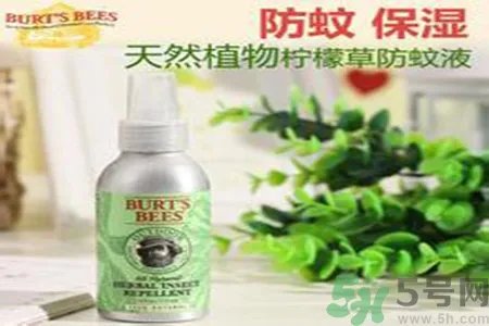 驱蚊液可以驱苍蝇吗?驱蚊液可以驱走什么虫子?