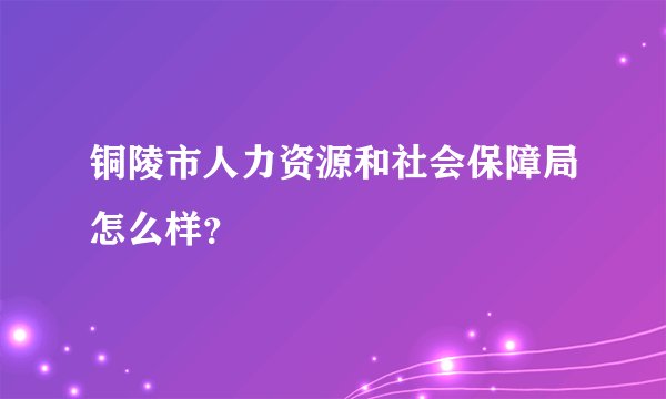 铜陵市人力资源和社会保障局怎么样？