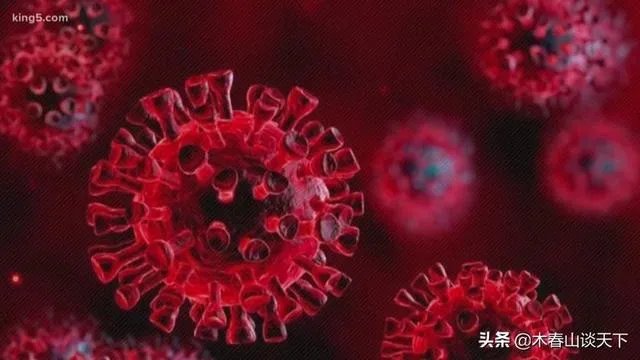 美国宣布进入紧急状态，当地华侨应该怎么团结自救？