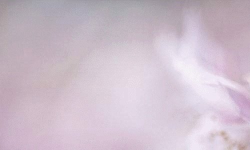 写网络小说怎么赚钱