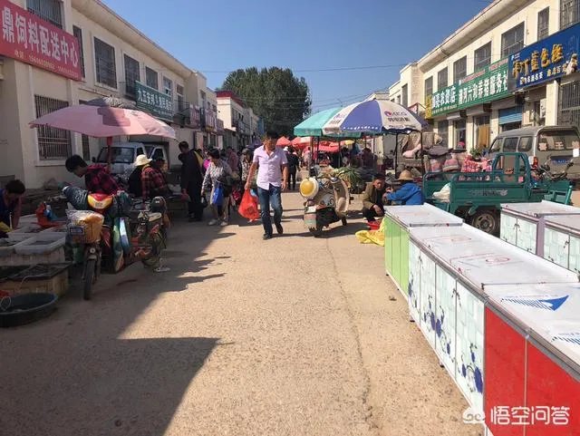 我是一个刚做自媒体的小白,能赚到钱么?