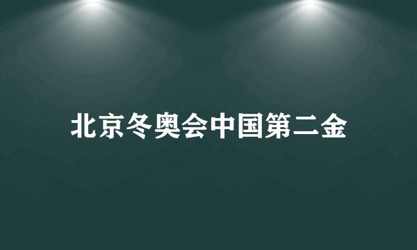 北京冬奥会中国第二金