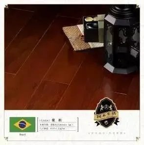 富林地板:欢乐颂“五帅” 谁是你的菜?