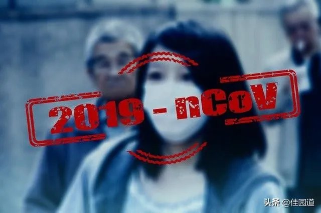 每天的疑似病例比较少，为什么确诊的病例那么多？