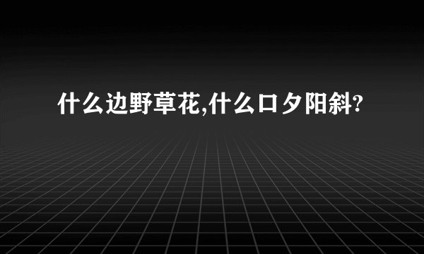什么边野草花,什么口夕阳斜?