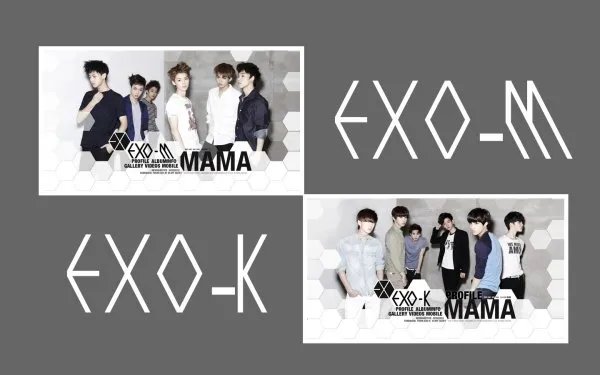 exo-m成员的资料