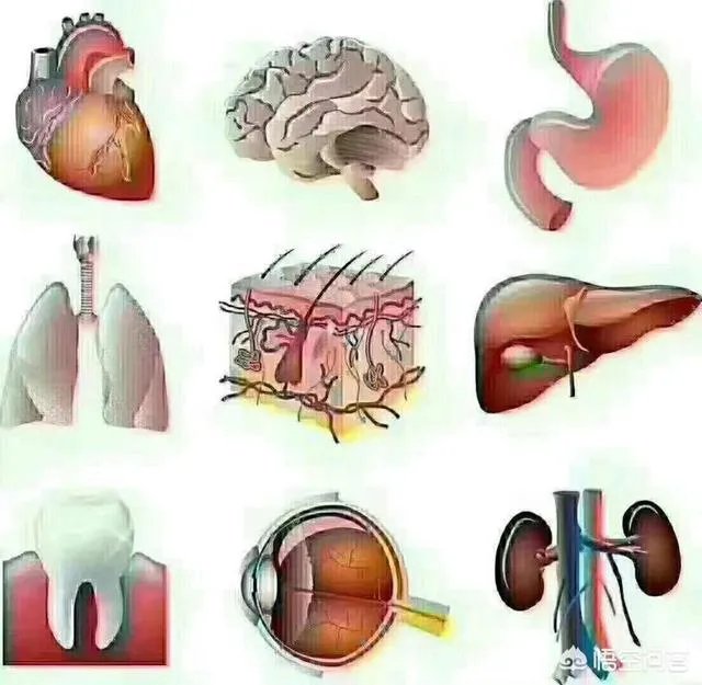 臧天朔去世是因为什么病?