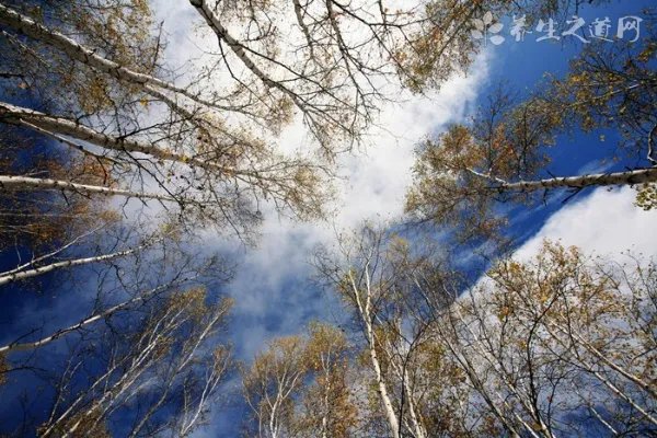 五个月宝宝不会翻身是怎么回事
