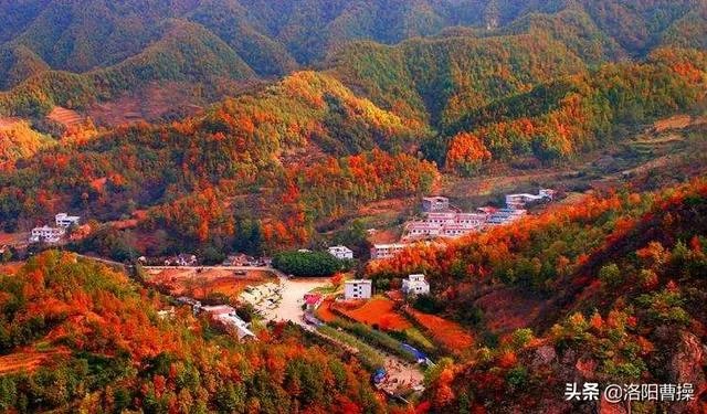 洛阳景区推出“1元无人售卖午餐”,引千人排队用餐, 你怎么看?