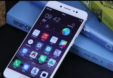 vivo手机Y67支持，闪充功能？