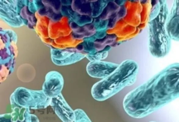 诺如病毒会死吗?诺如病毒可以致人死亡吗?