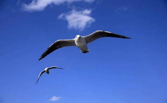 昆明在美留学生公开演讲：美国空气又香又甜！家乡空气差，昆明为自己正名！