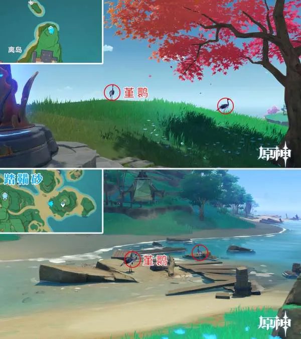 原神四方八方之网可捕捉动物在哪