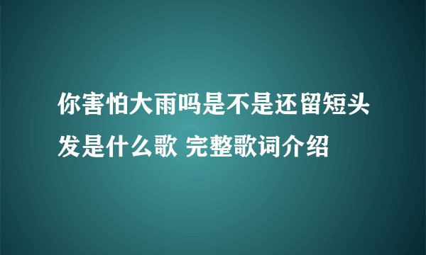 你害怕大雨吗是不是还留短头发是什么歌 完整歌词介绍