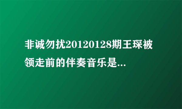 非诚勿扰20120128期王琛被领走前的伴奏音乐是哪首歌？