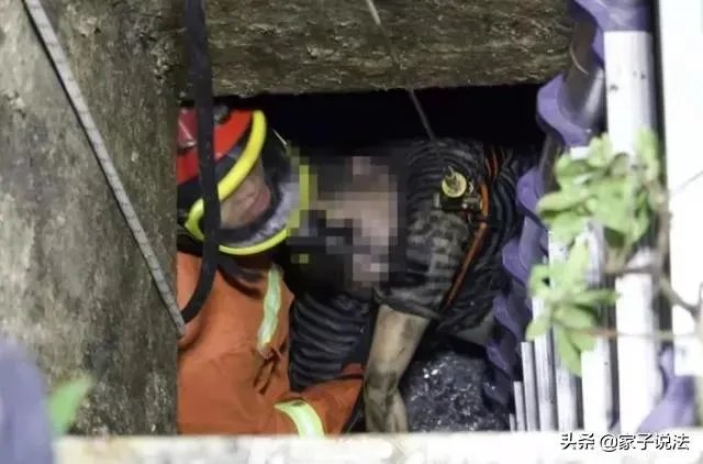 浙江女子喊老公下污水井救宠物狗致其身亡，年仅30岁，怎么看？