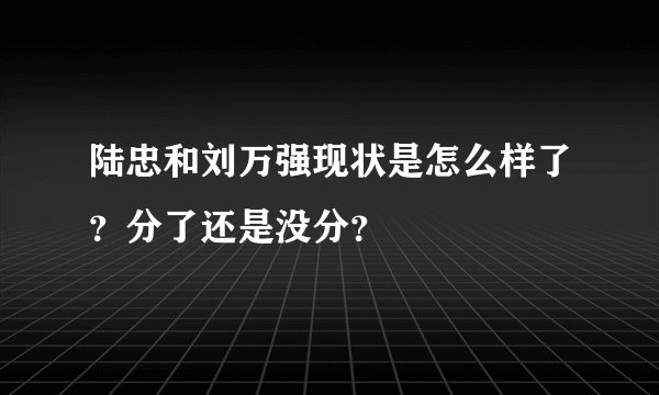 陆忠和刘万强现状是怎么样了？分了还是没分？