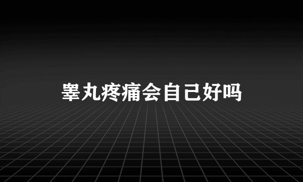 睾丸疼痛会自己好吗