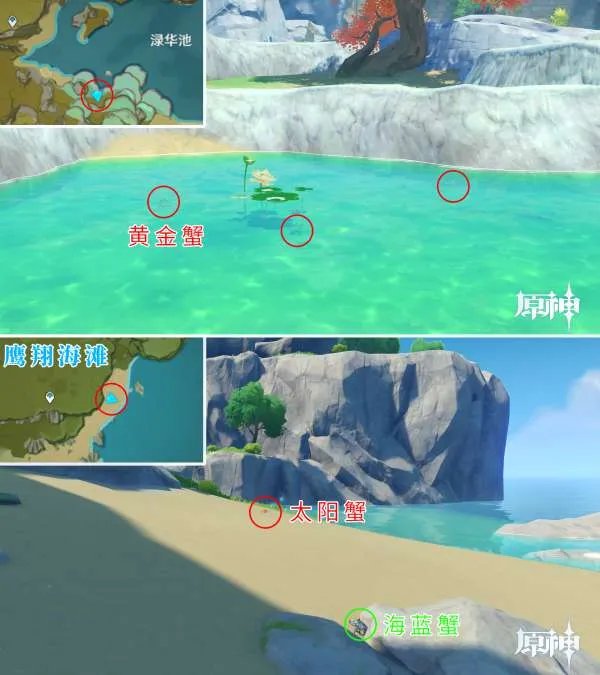 原神四方八方之网可捕捉动物在哪