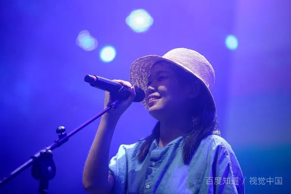 求花粥《归去来兮》歌词