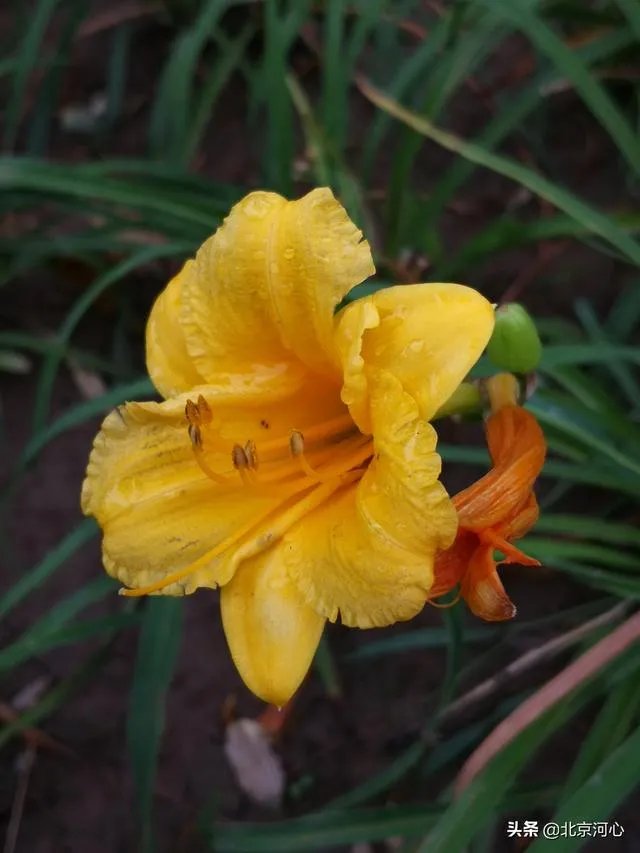 当渣女说我知道你心里一定特别恨我时，如何一句话怼回去？