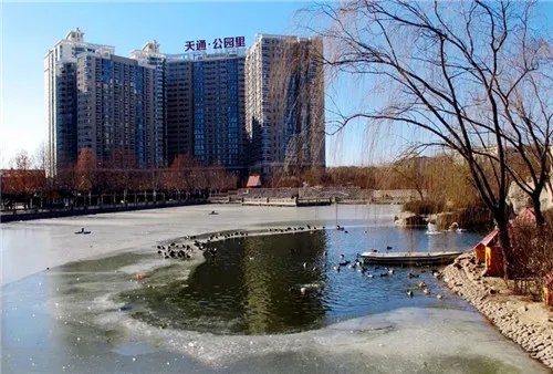 天通苑属于哪个区