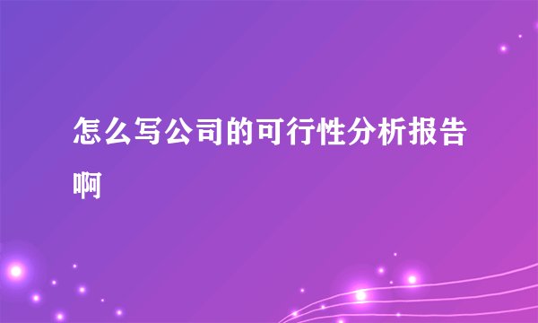 怎么写公司的可行性分析报告啊
