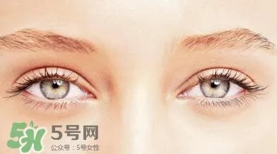 三点定位双眼皮过程图 做三点定位双眼皮心得