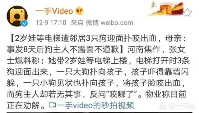 2岁娃等电梯时遭邻居3只狗迎面扑咬出血，事发8天后狗主人不露面不道歉，你怎么看？