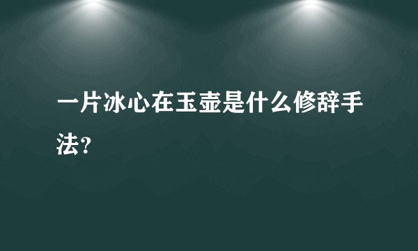 一片冰心在玉壶是什么修辞手法？