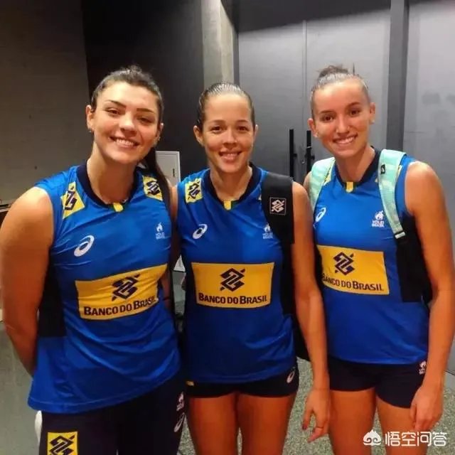 巴西队女排全部名单