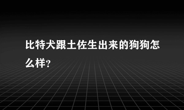 比特犬跟土佐生出来的狗狗怎么样？