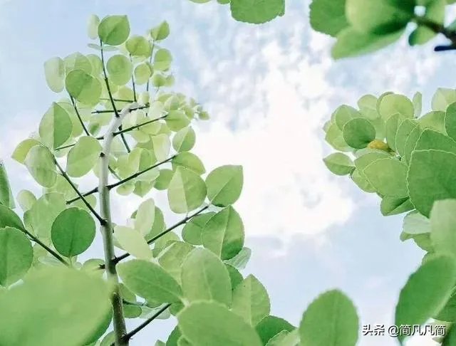 杭州象山女童以死亡为代价，让人心痛，那么，当今社会，我们对陌生人还能相信多少？